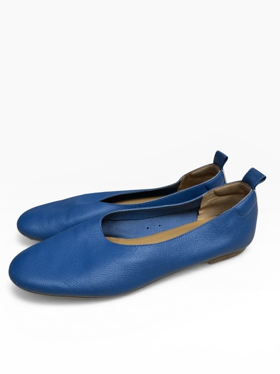 Everlane Shoes - Everlane Blue Leather Ballet Flats